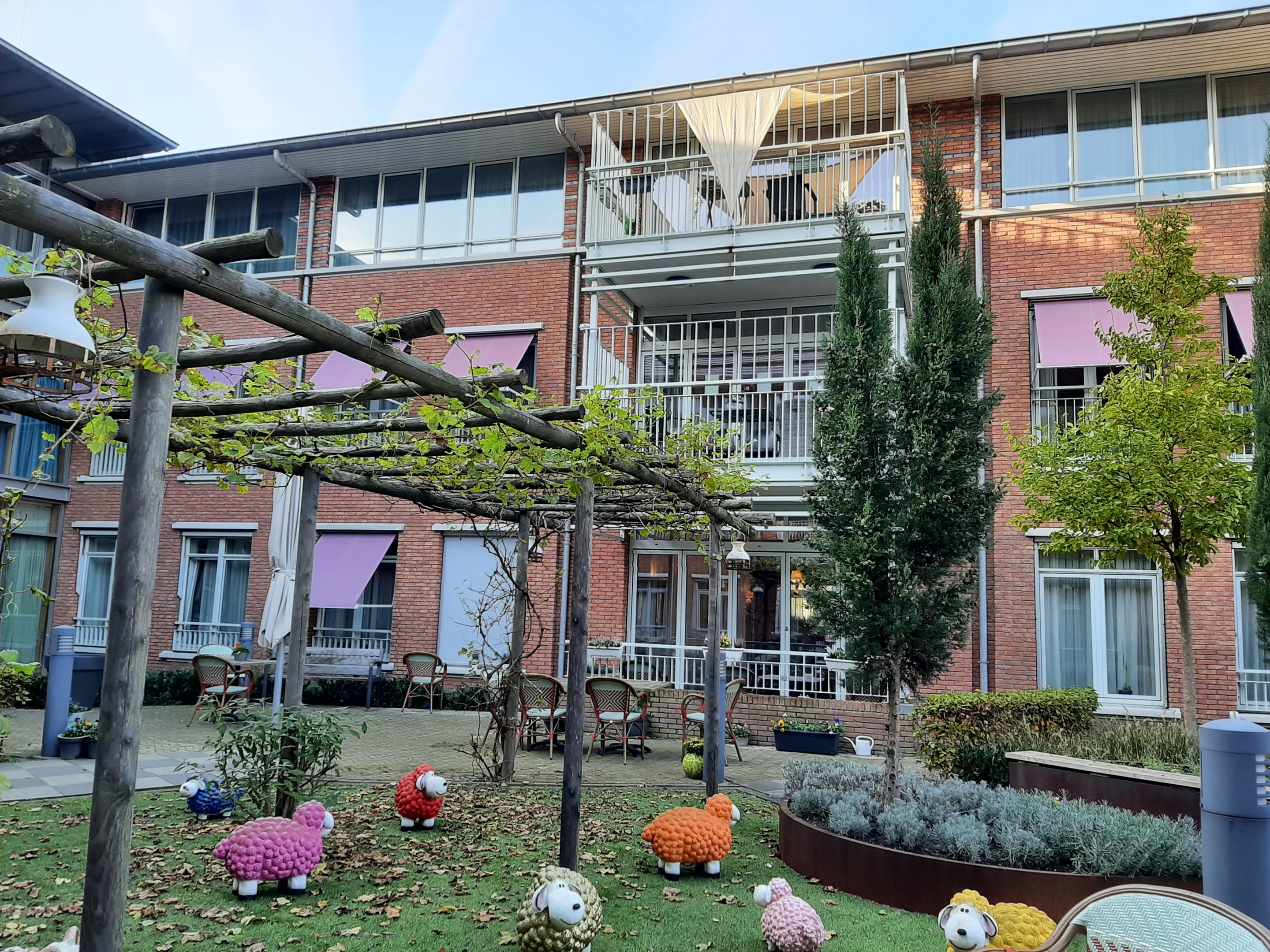 Tuin 2.jpg
