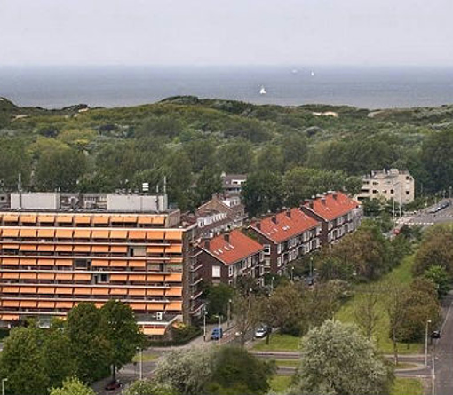 Duinhage