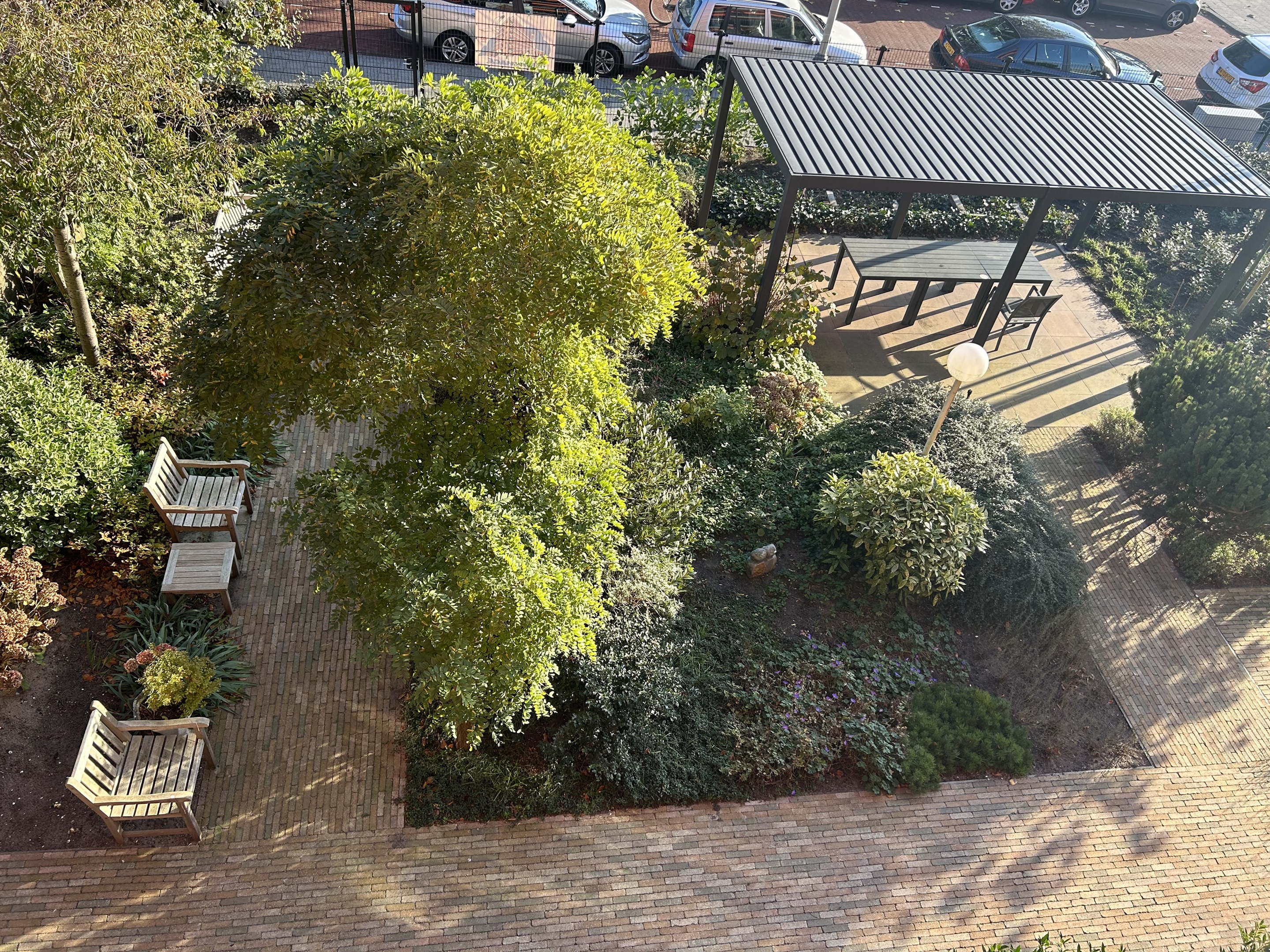 Duinhage tuin.jpg